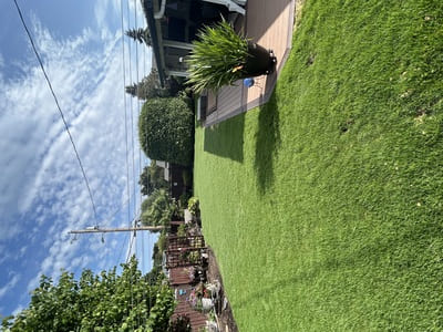 {{ custom_values.service_3 }} in {{custom_values.area_2})