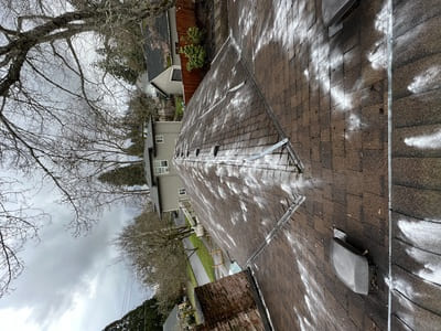 Roof Cleaning/Moss Removal in Gaston