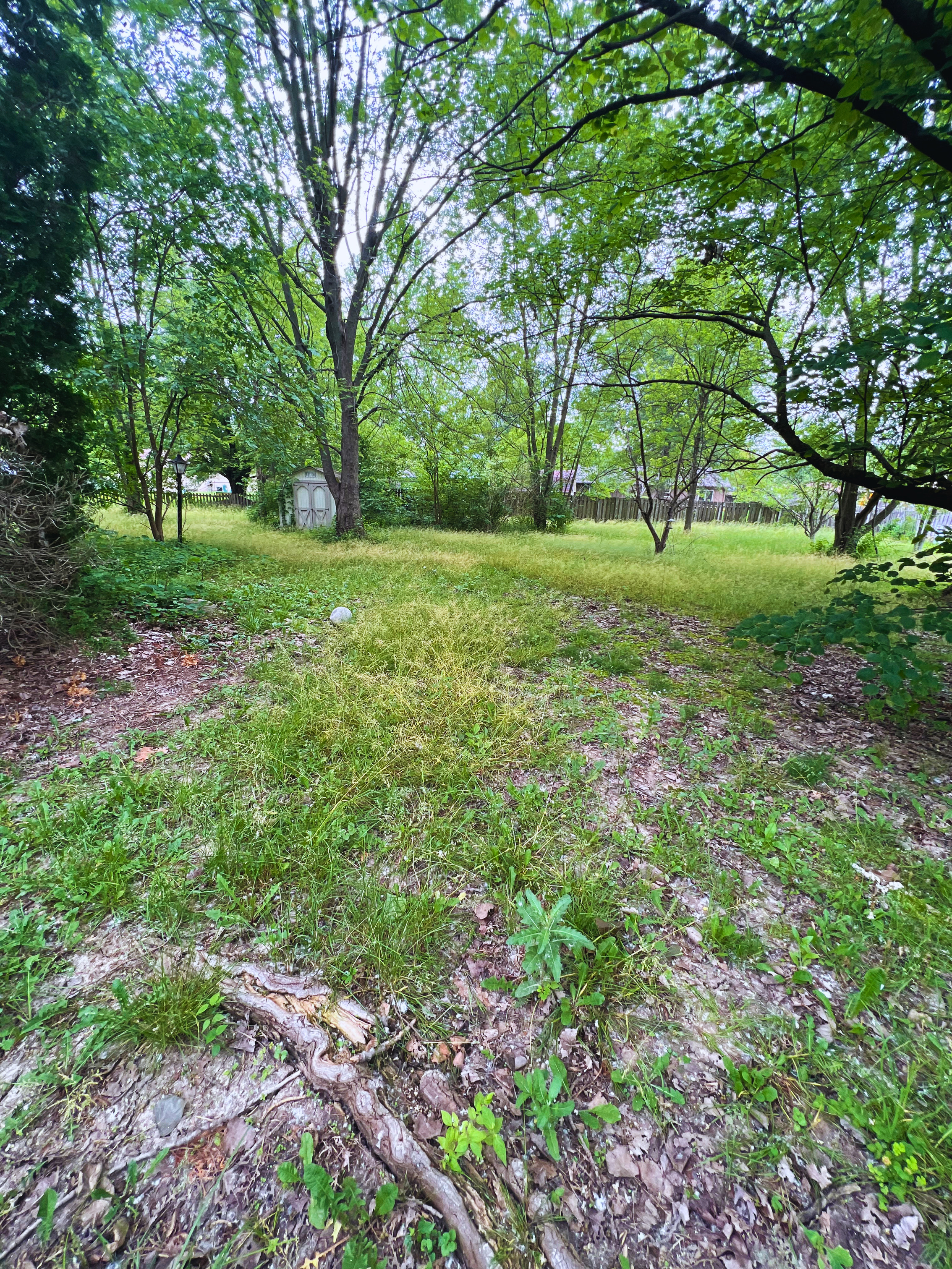 Overgrown wooded residential lot in Indianapolis with mature trees and grass highlighting the importance of buildability due diligence Overgrown wooded residential lot in Indianapolis with mature trees and grass highlighting the importance of buildability due diligence