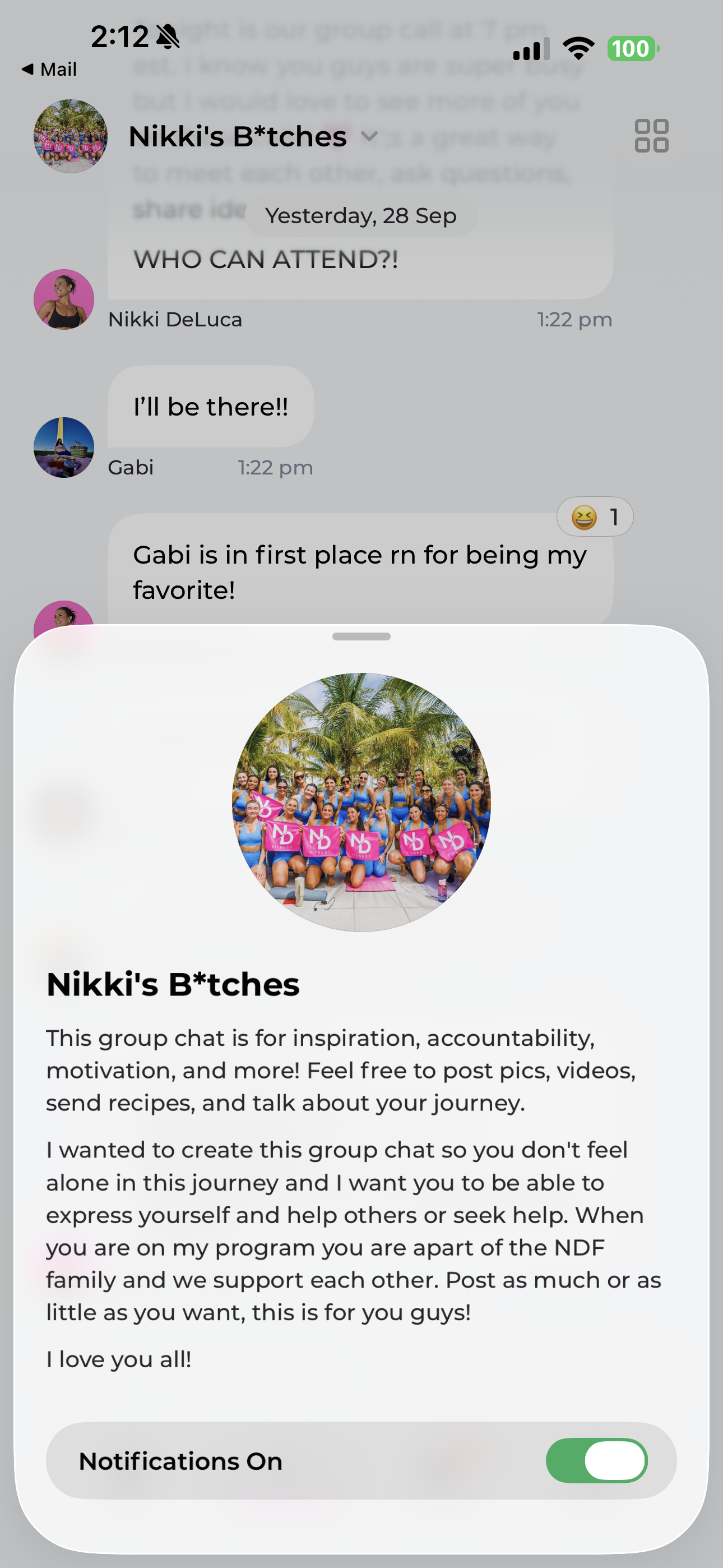 Actual NDF app community screenshot with the group description and notifications