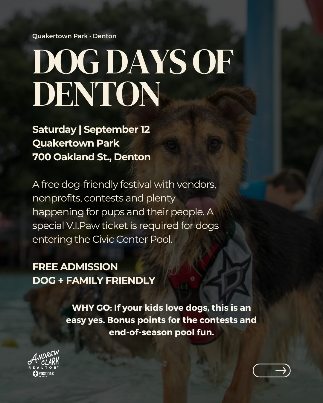 Dog Days of Denton event in Denton, Texas, featuring dogs, local vendors, contests and family-friendly activities.