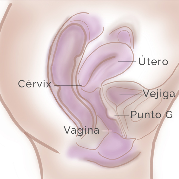 Esquema aumento del punto G