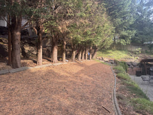 New Deck Installation and renovation in Kenmore WA