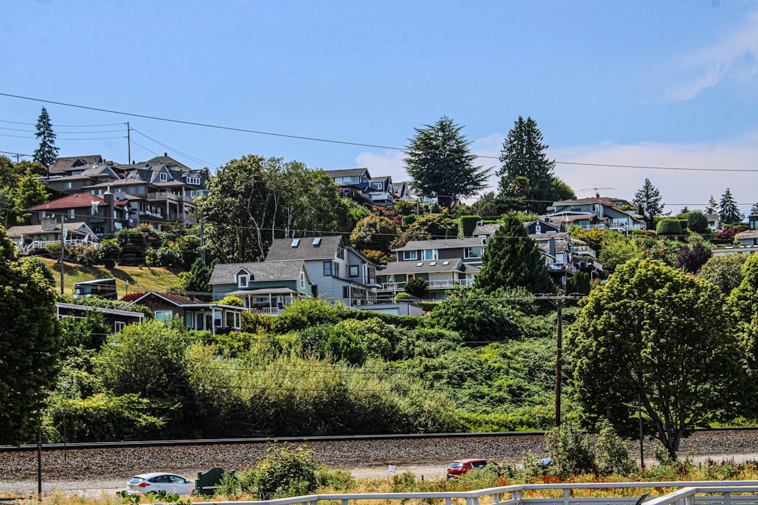 Hillside residential neighborhood of houses among evergreens and leafy trees above a railway line under a blue sky.