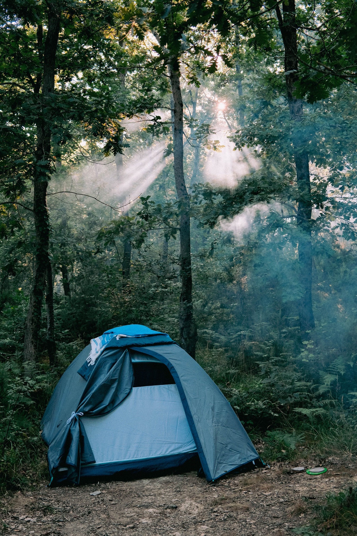Self-camped lodging in the forest