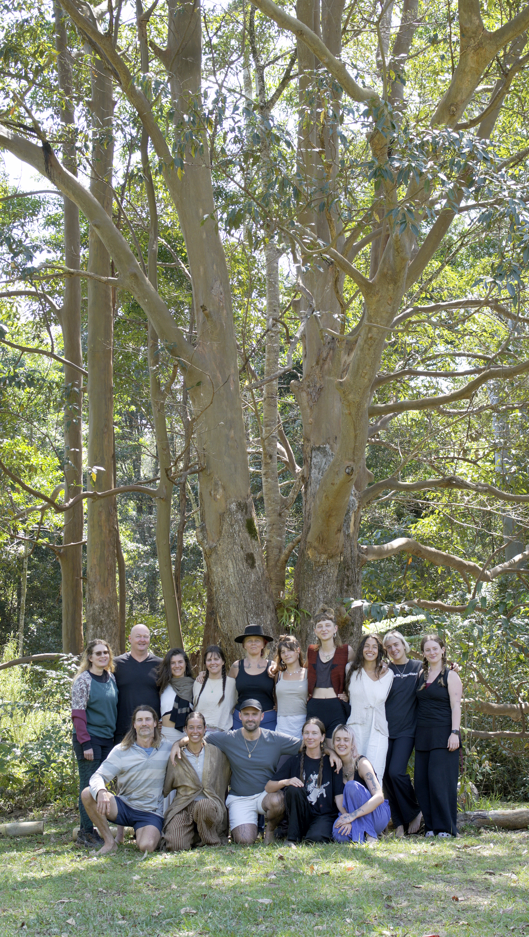 Sacred Tree Keepers community gathered beneath a large tree in Australia
