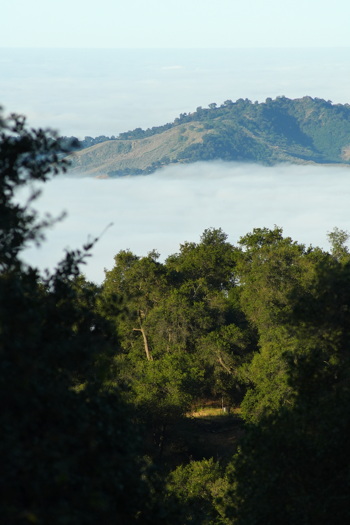 Ojai hills above a blanket of clouds