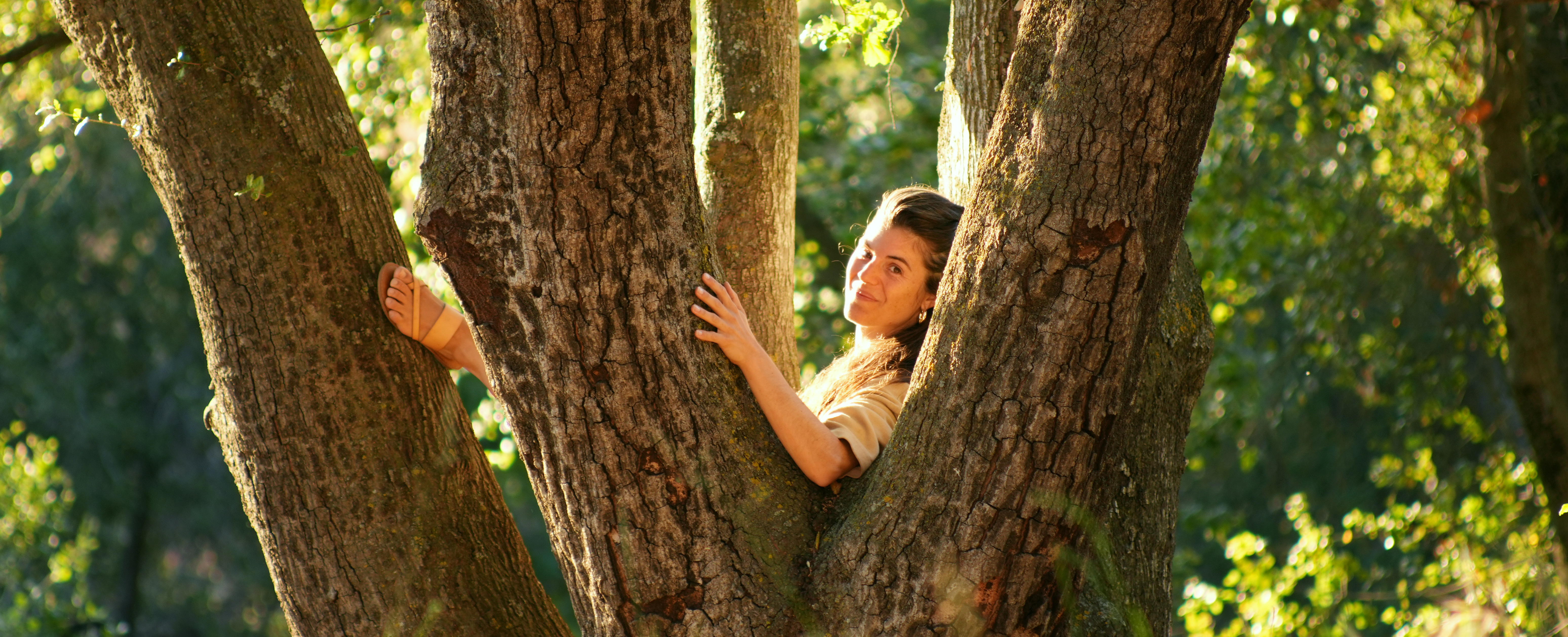 Maria resting among the branches of a tree