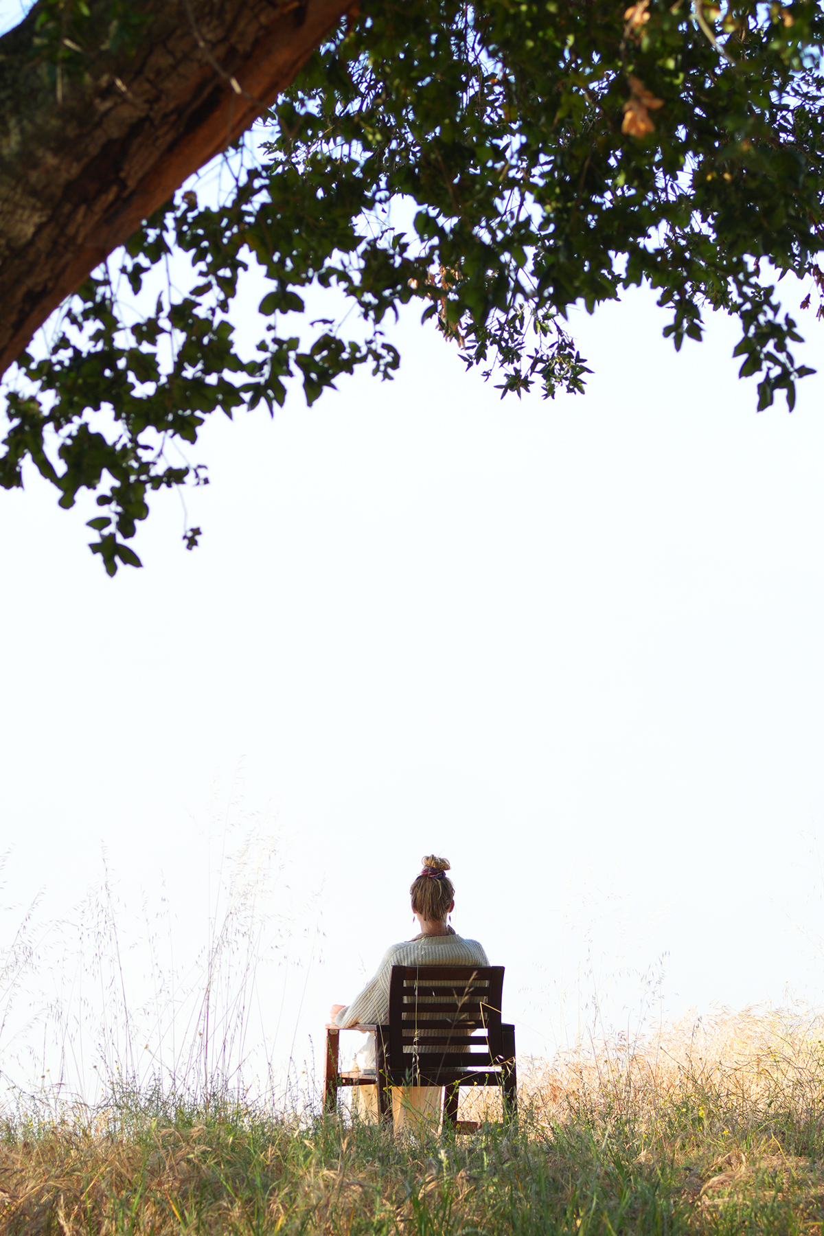 Quiet practice beneath an Oak in Ojai