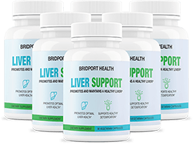 6 bottles of Bridport Health Liver Support