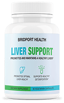 1 bottle of Bridport Health Liver Support
