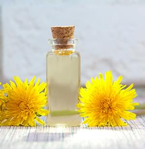 Dandelion Extract