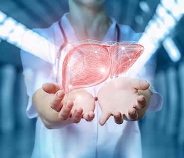 The 7 nutrients available in Bridport Health Liver Support