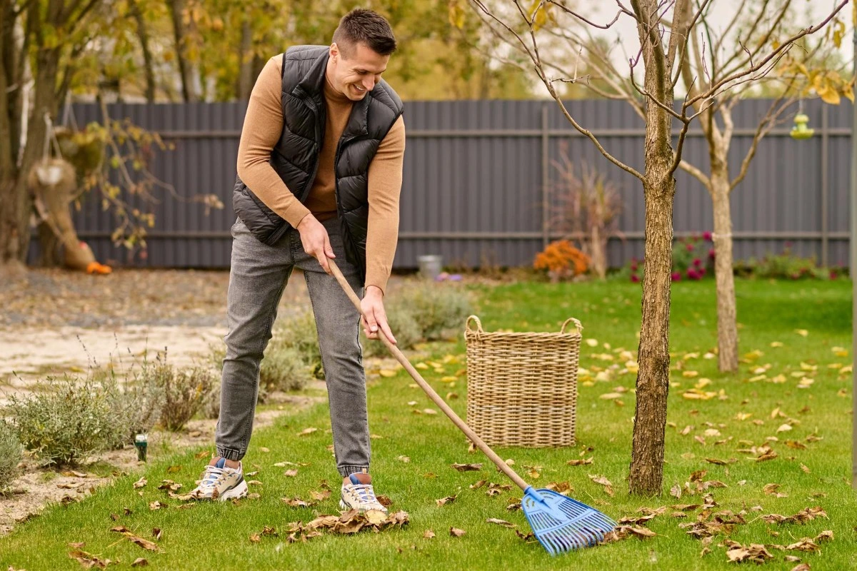 A person cleaning dry leaves