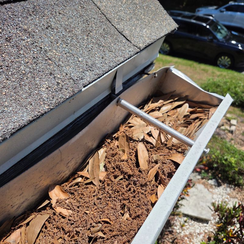 Gutters Filled With Heavy Debris and Damage Gutters Filled With Heavy Debris and Damage