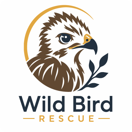 Wild Bird Rescue