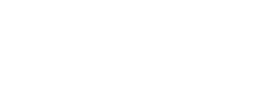 Financial Wellbeing Institute
