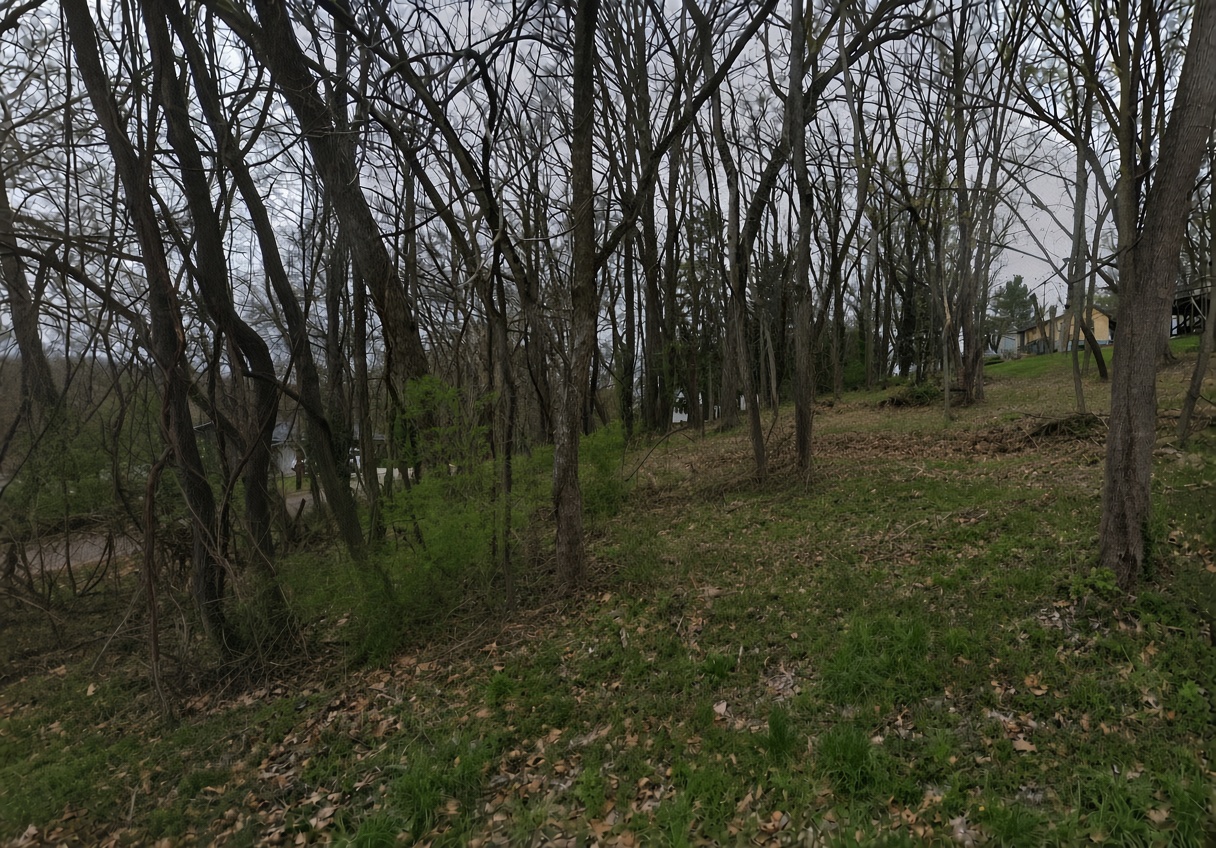 168 Green St lot