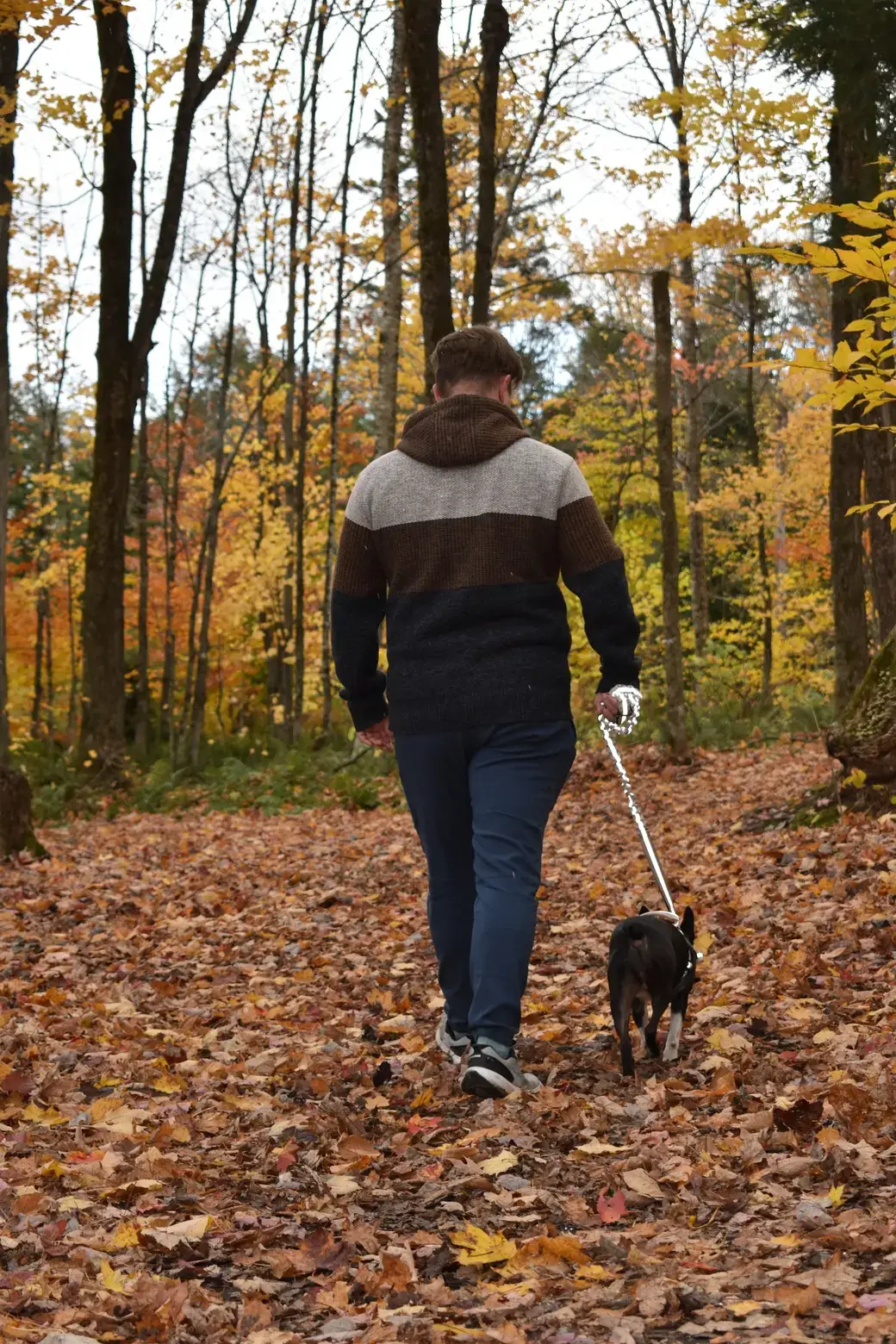 Simon de dos, qui marche dans un sous-bois d’automne avec un de ses chiens en laisse