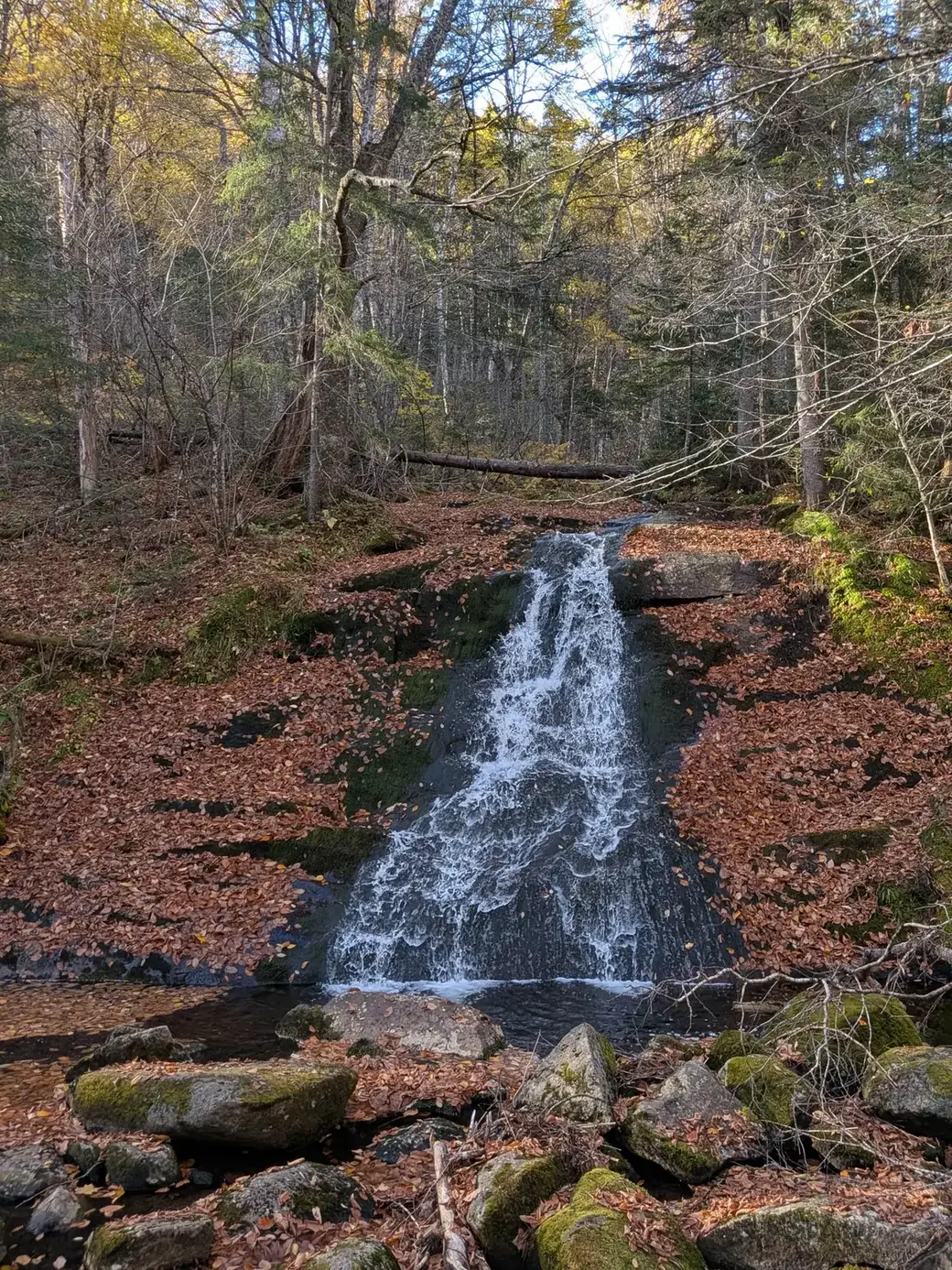 Une petite chute dans une forêt d’automne