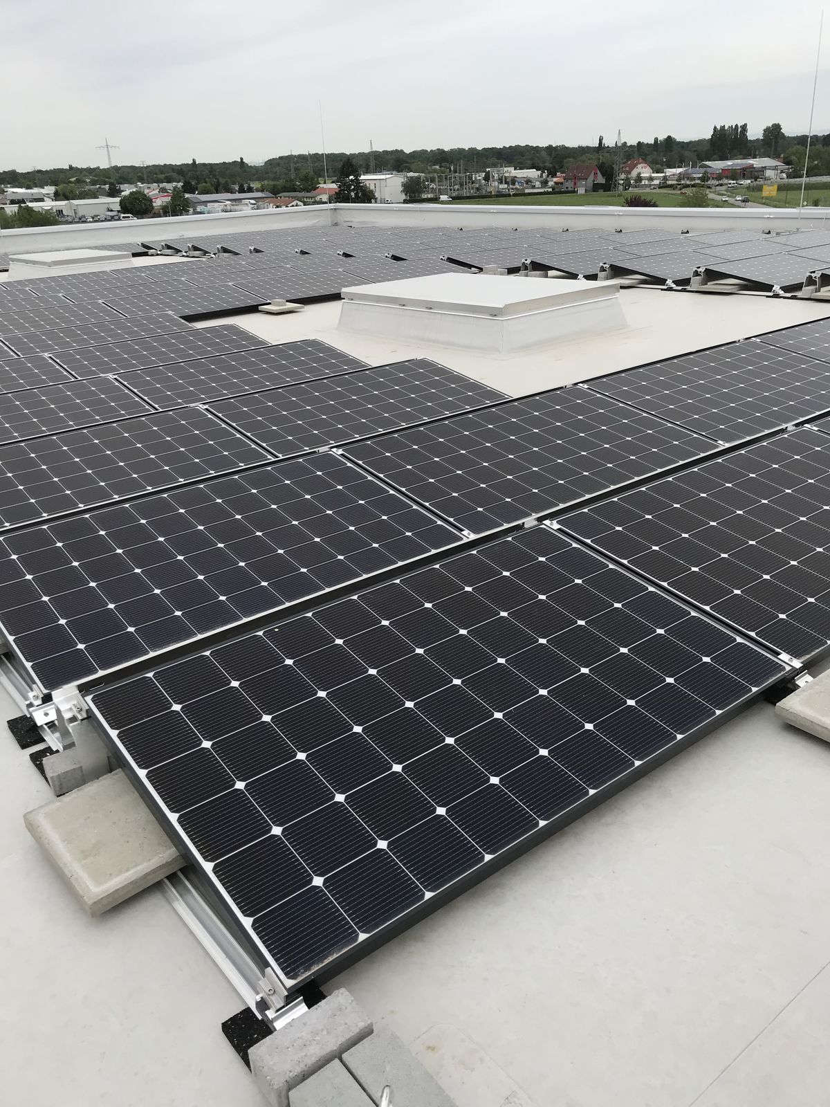 Trusted local waterproofing team delivering reliable workmanship every day