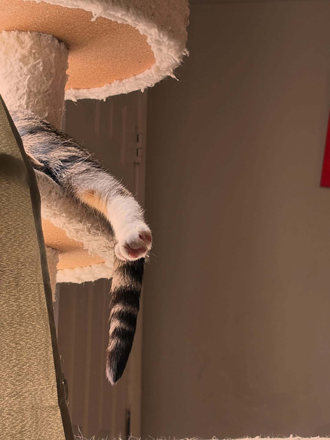 Tattoo by Kenny Hill - Image 12