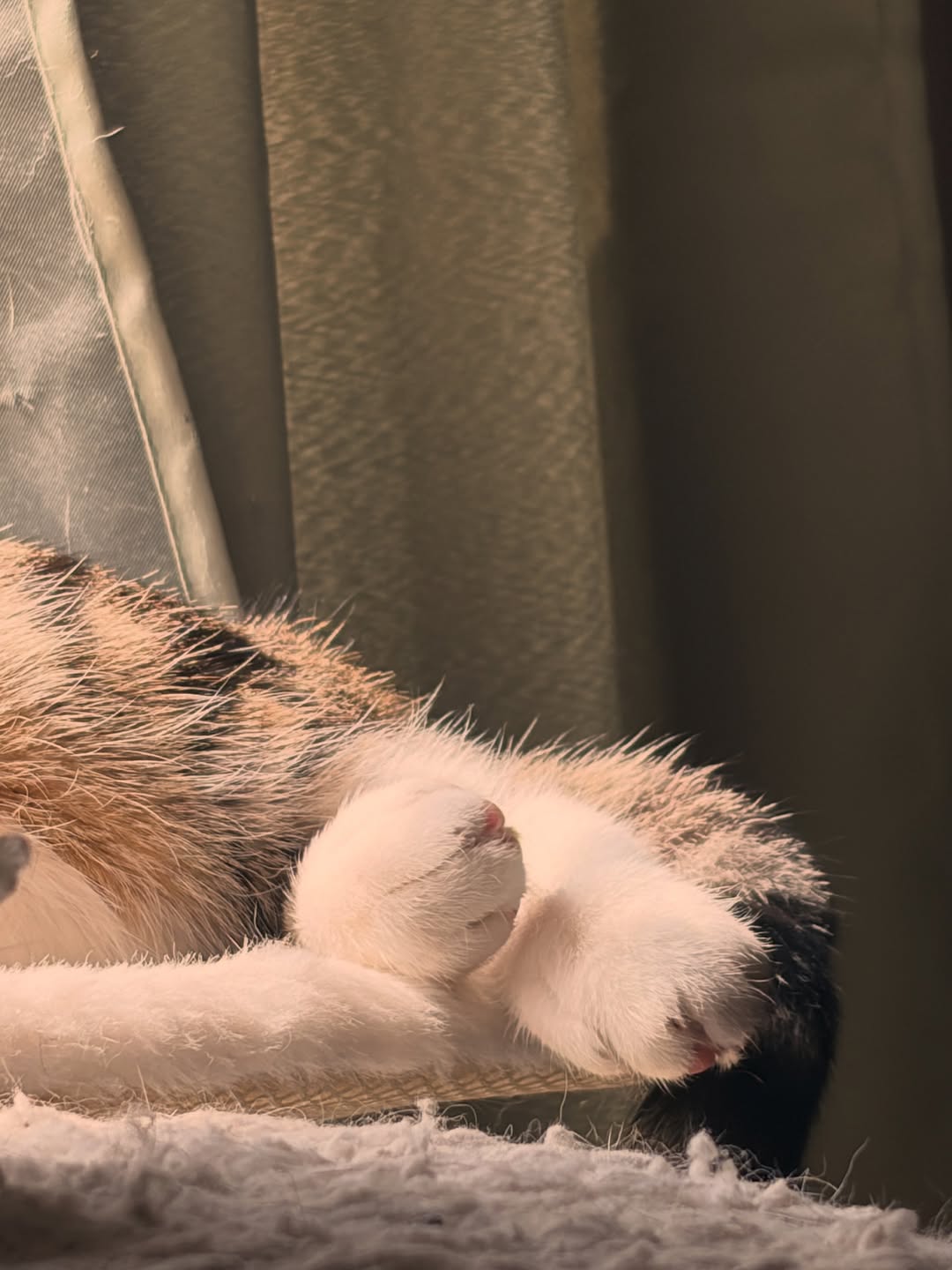 Tattoo by Kenny Hill - Image 13