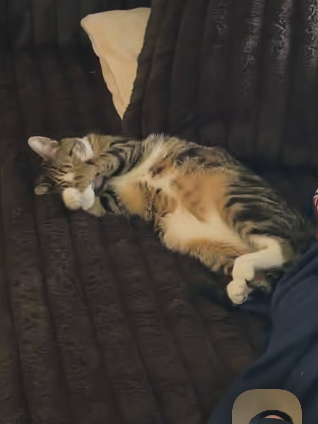 Tattoo by Kenny Hill - Image 11