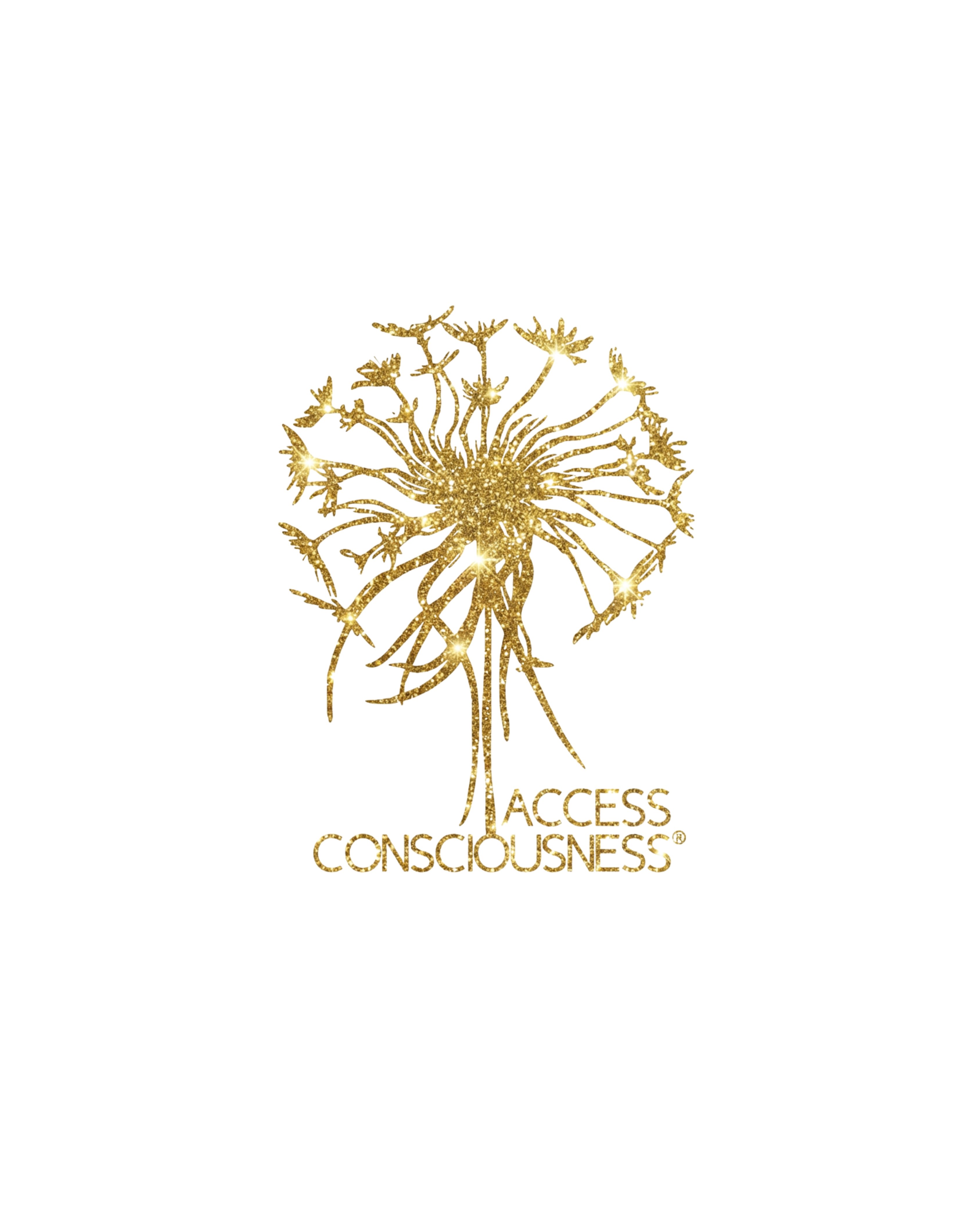 Access consciousness
