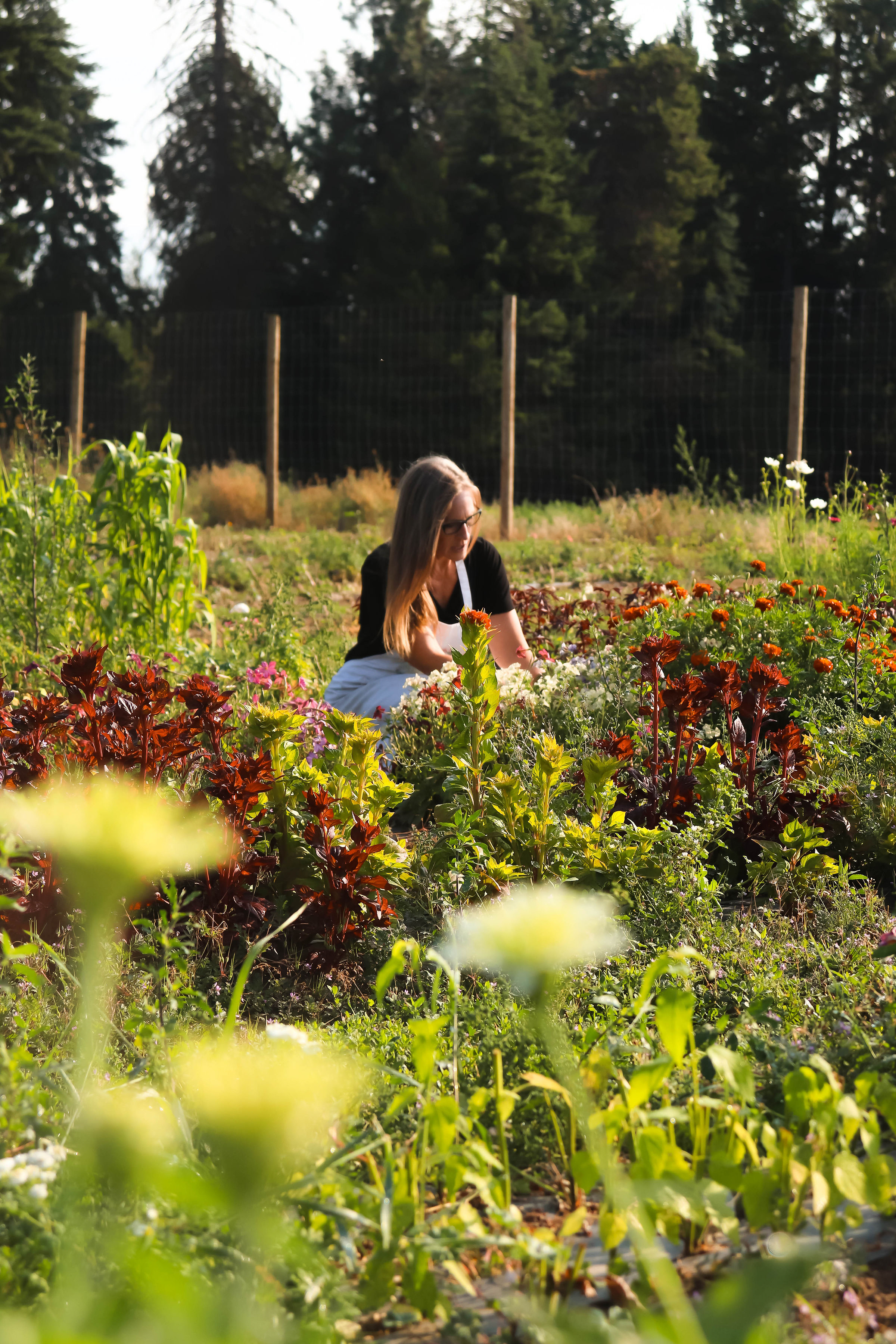 In the garden at BeeHaven