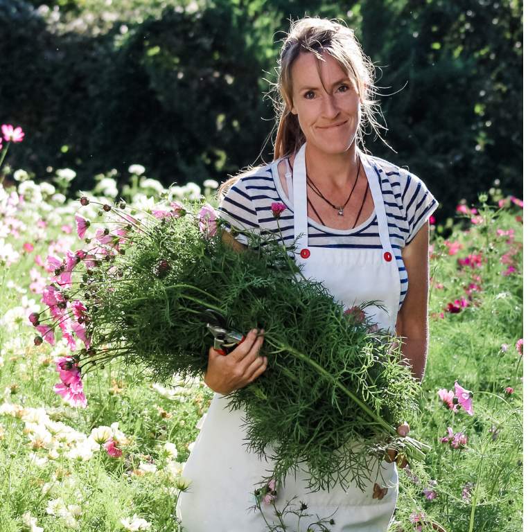 Beautiful flower arrangement from the garden