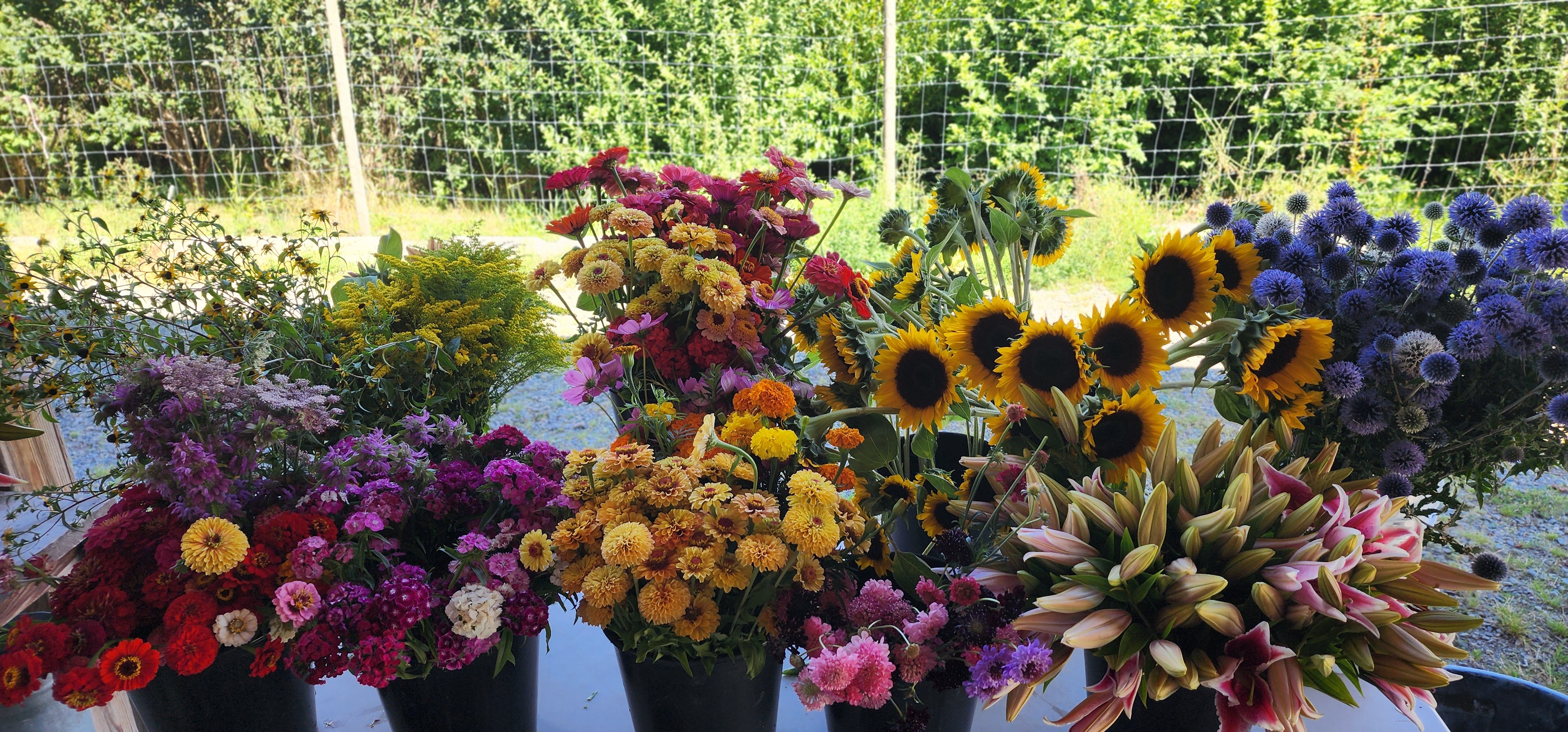 The growing season
