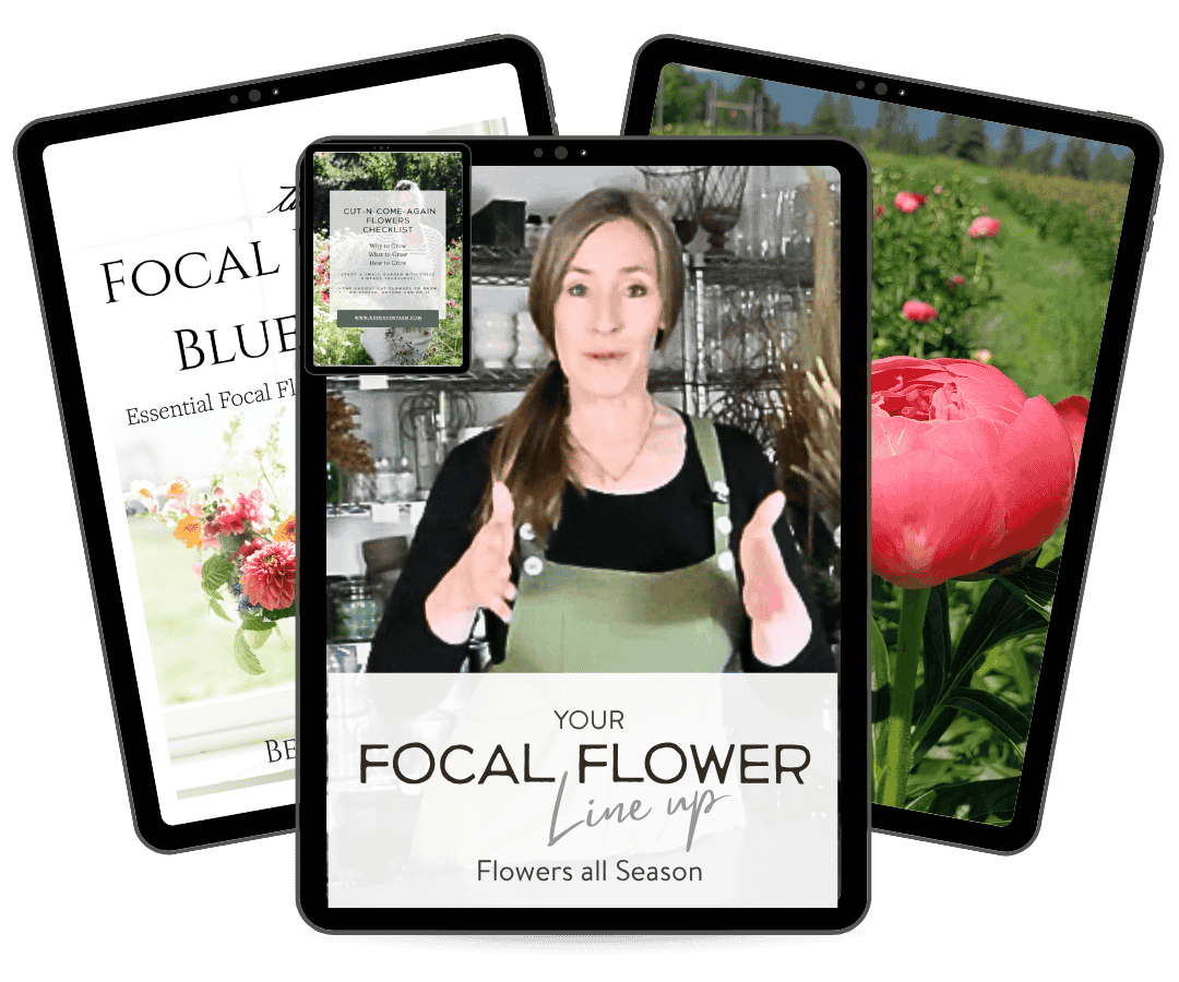 An offer of how to grow a line up of the six most important cut flowers to grow for profit and consistent sale called "Your Focal Flower Line up".