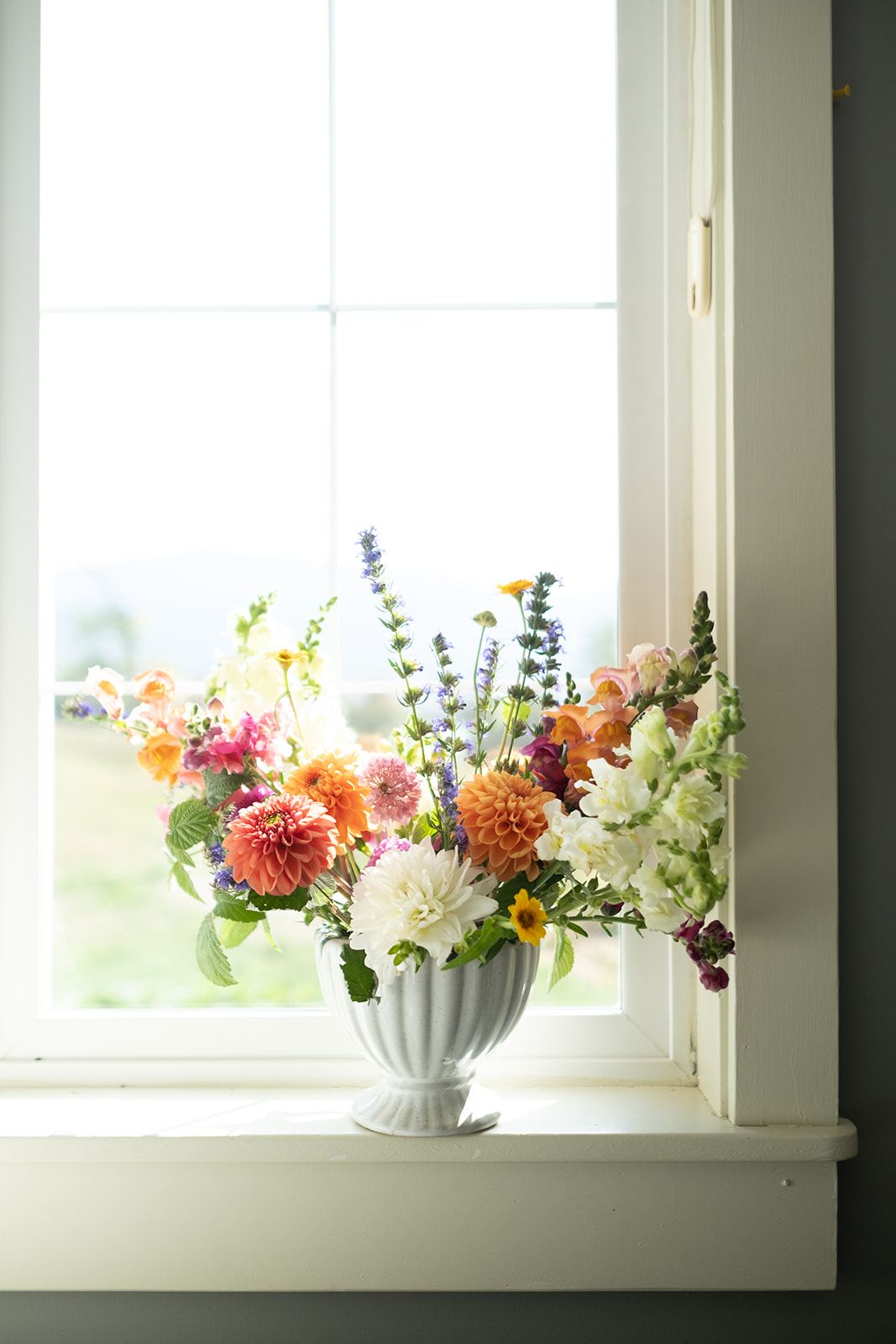 Beautiful abundant cut flower garden