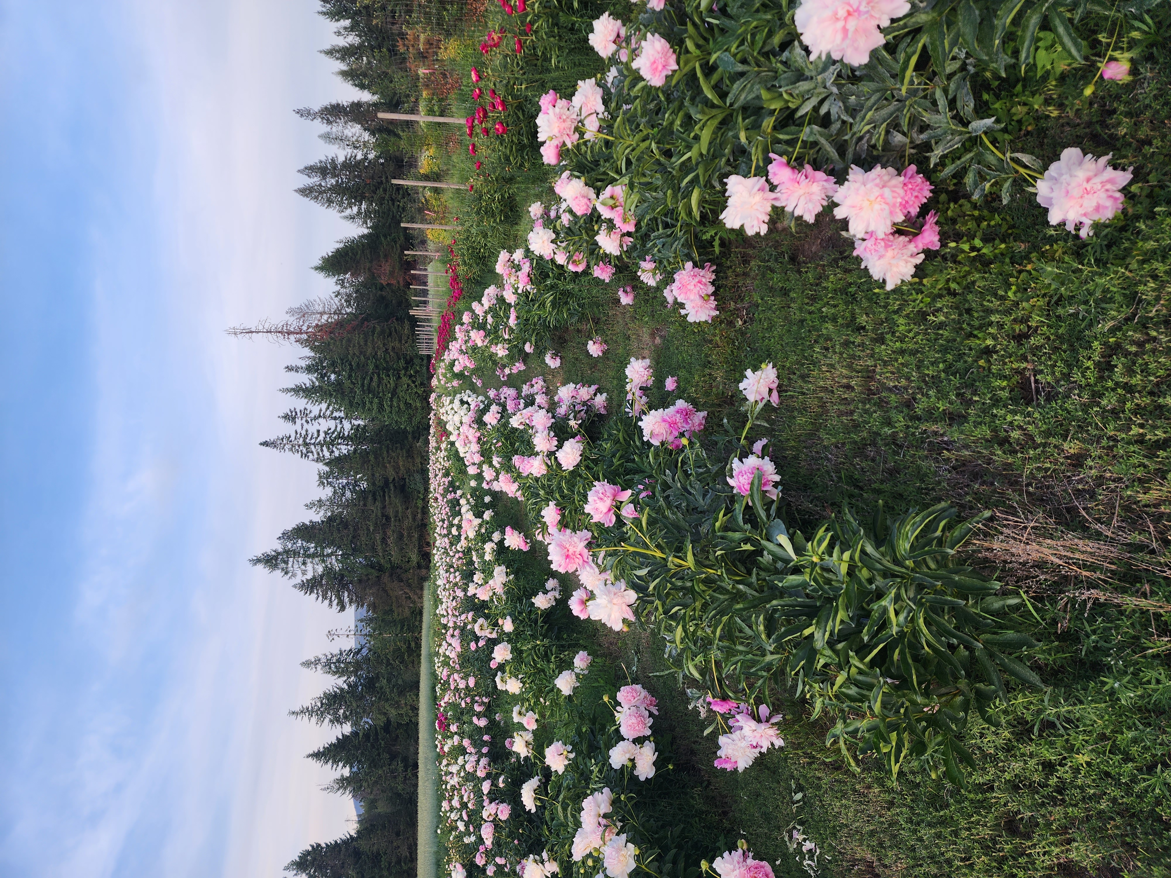 Growing the journey — 2