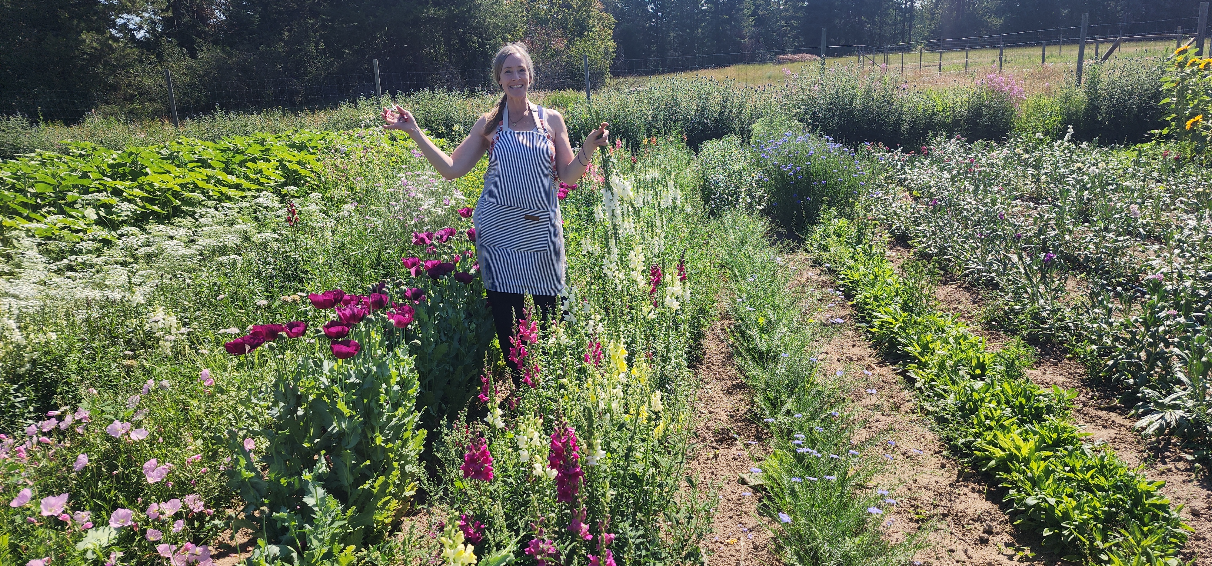 Paula growing — in the garden 6