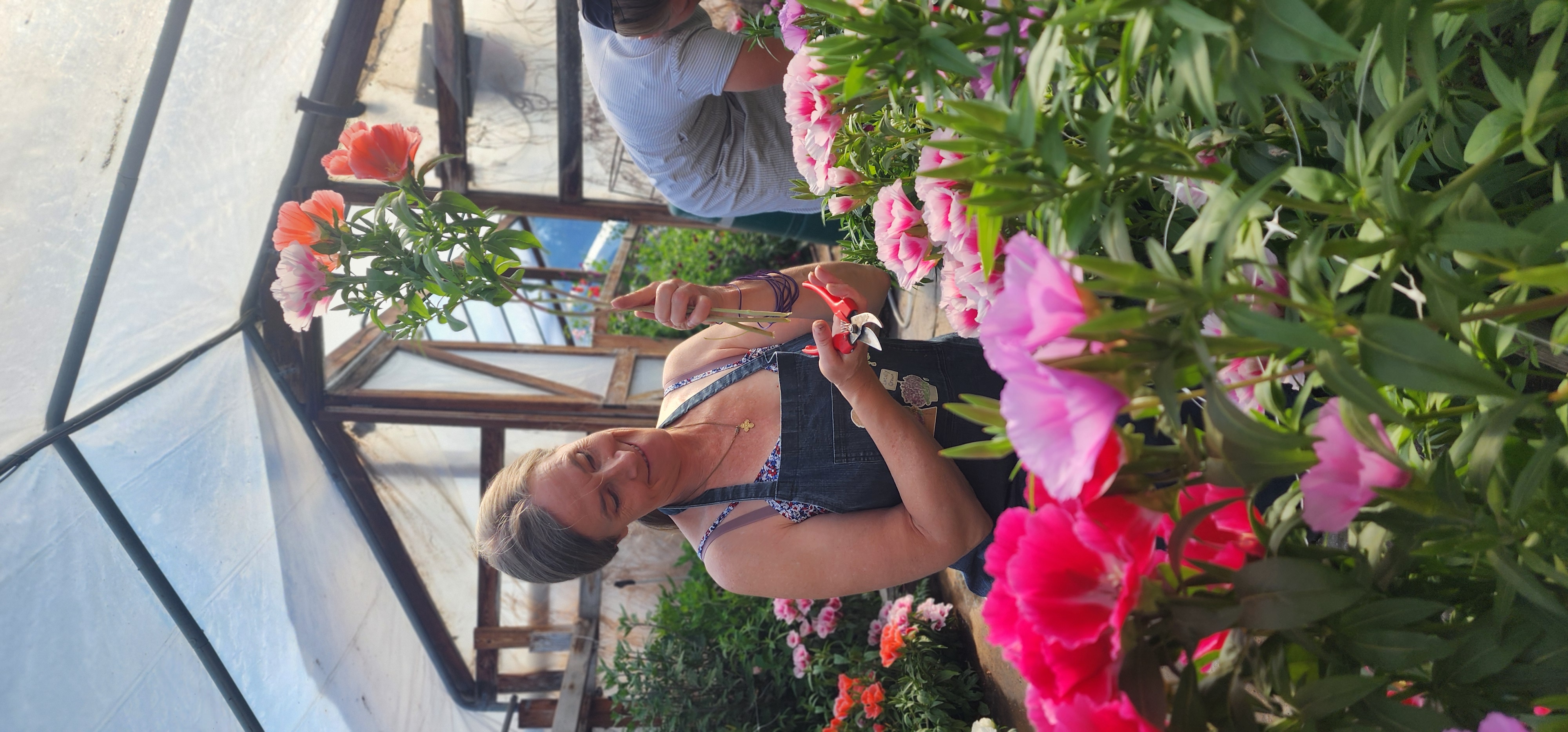 Growing the journey — 3