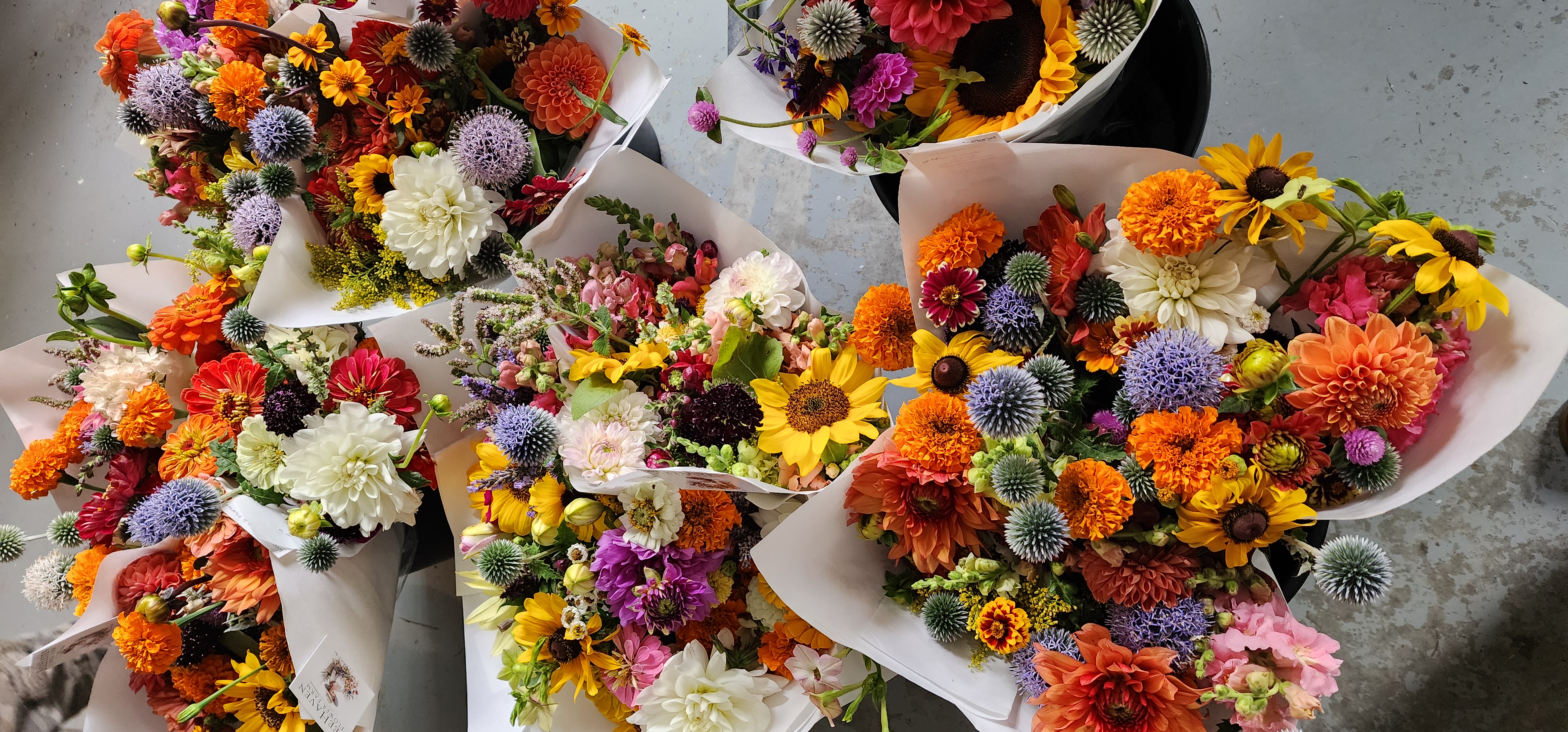 Colorful wrapped flowers ready for the farm stand