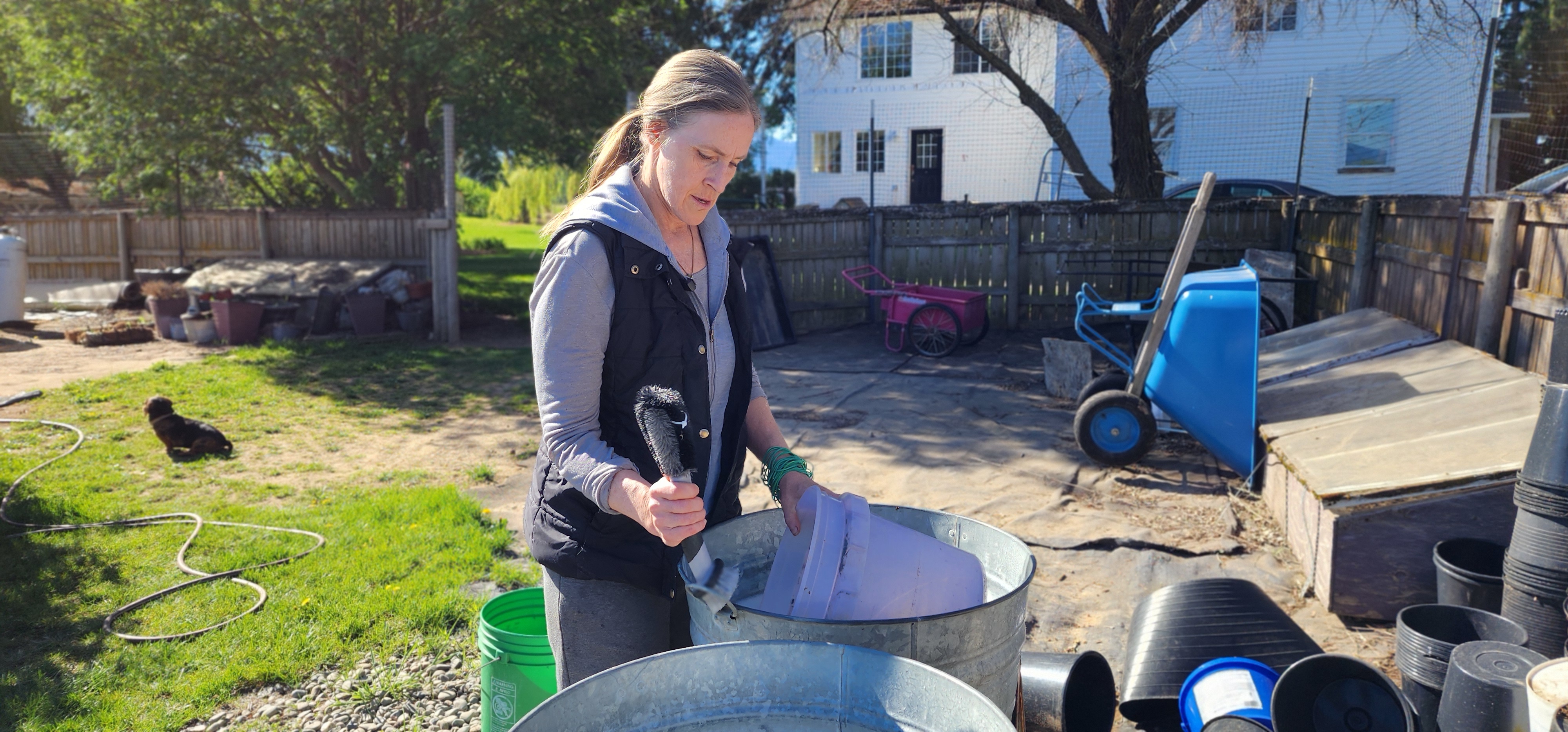 Paula growing — in the garden 8