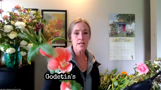 Paula coaching live on a weekly Zoom call