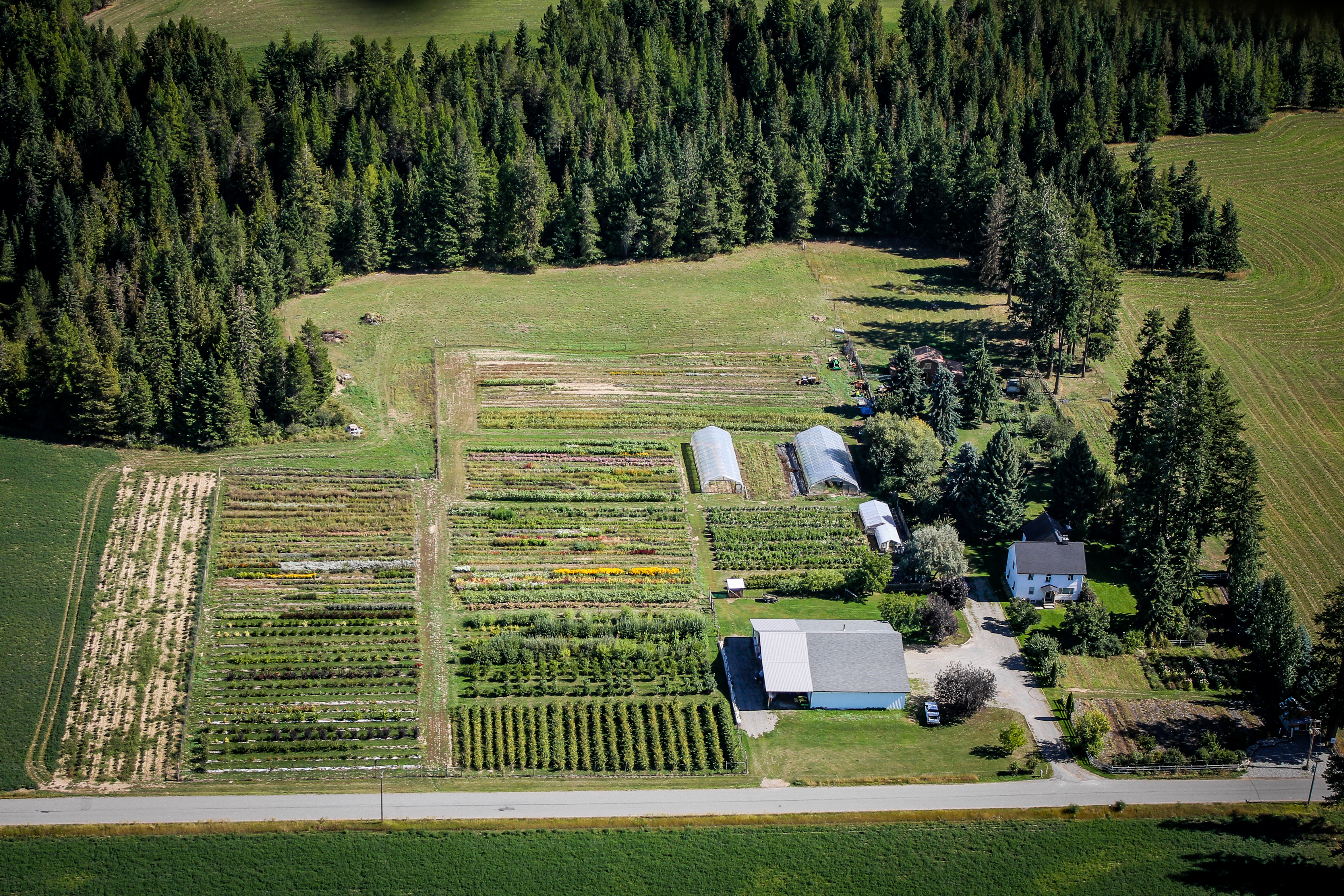 The farm