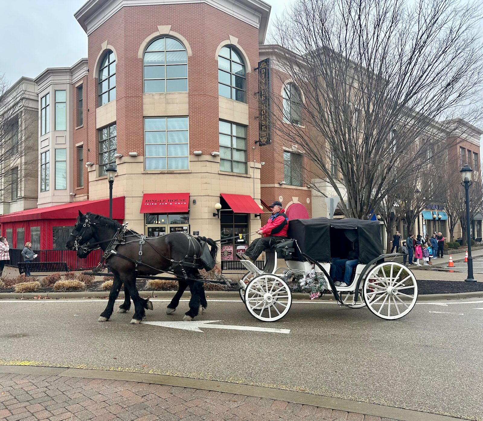 Horse-drawn carriage outside Dingle House during the holidays