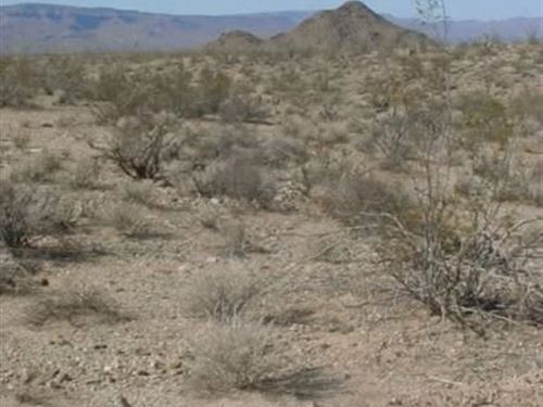Lake Mead City 338-07-478 photo 2