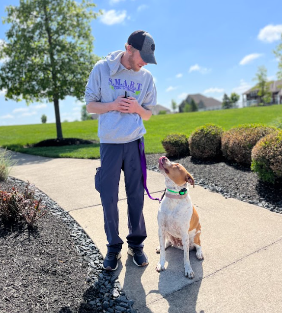 puppy-boarding