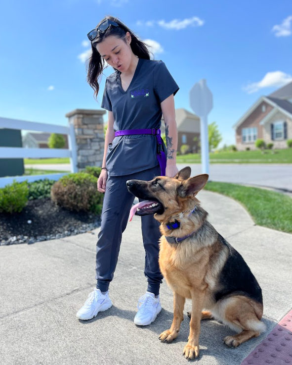 puppy-boarding