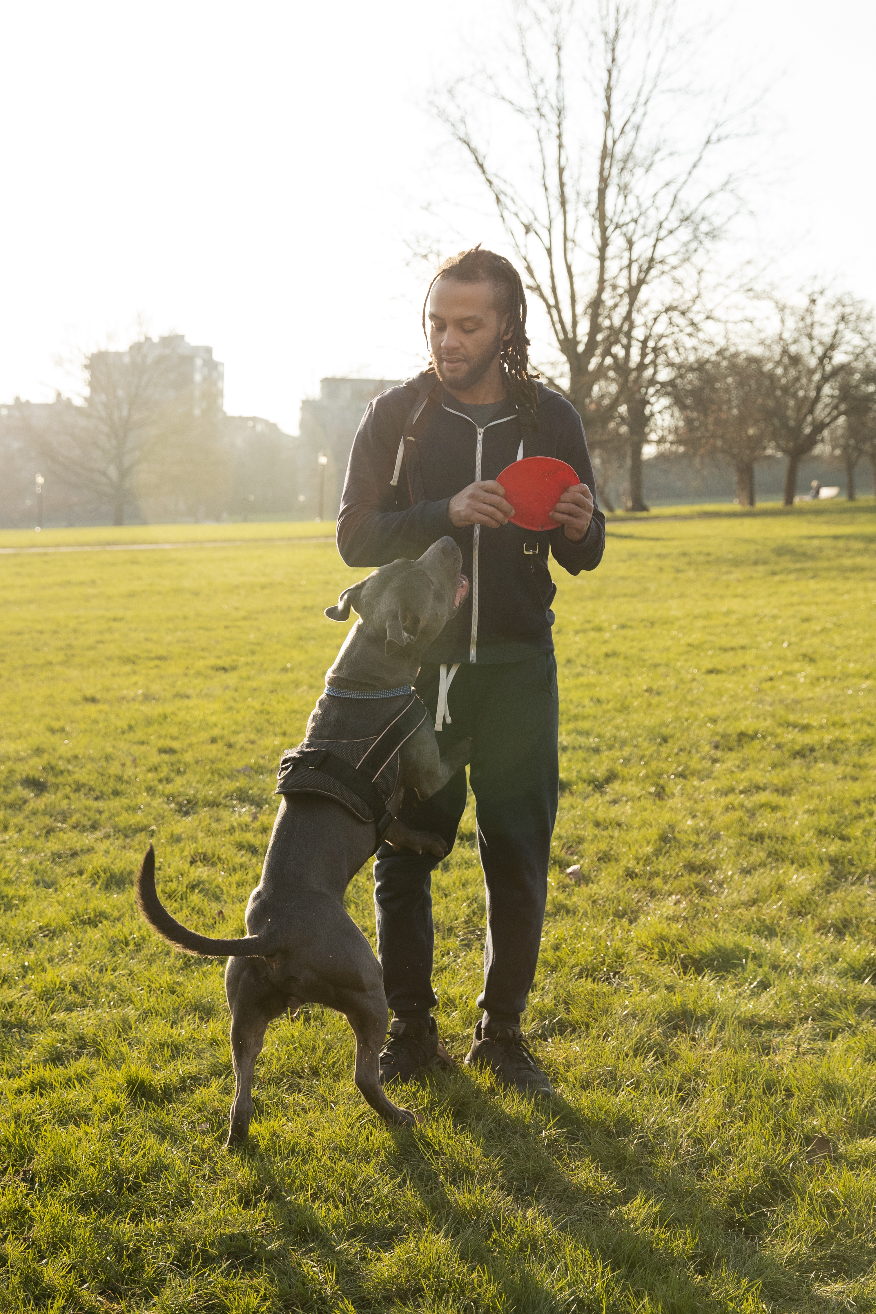 Puppy-training