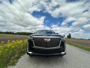 {{ custom_values.service_2 }} in {{custom_values.area_4})