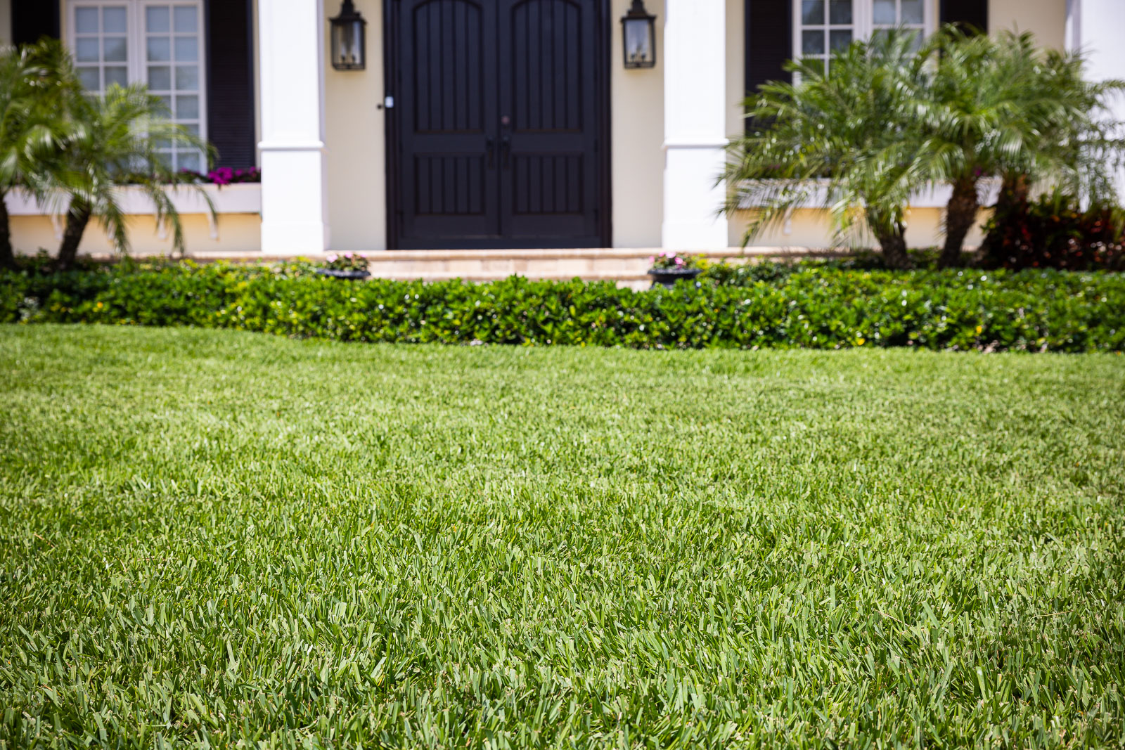 Reliable Lawn Care Deltona FL