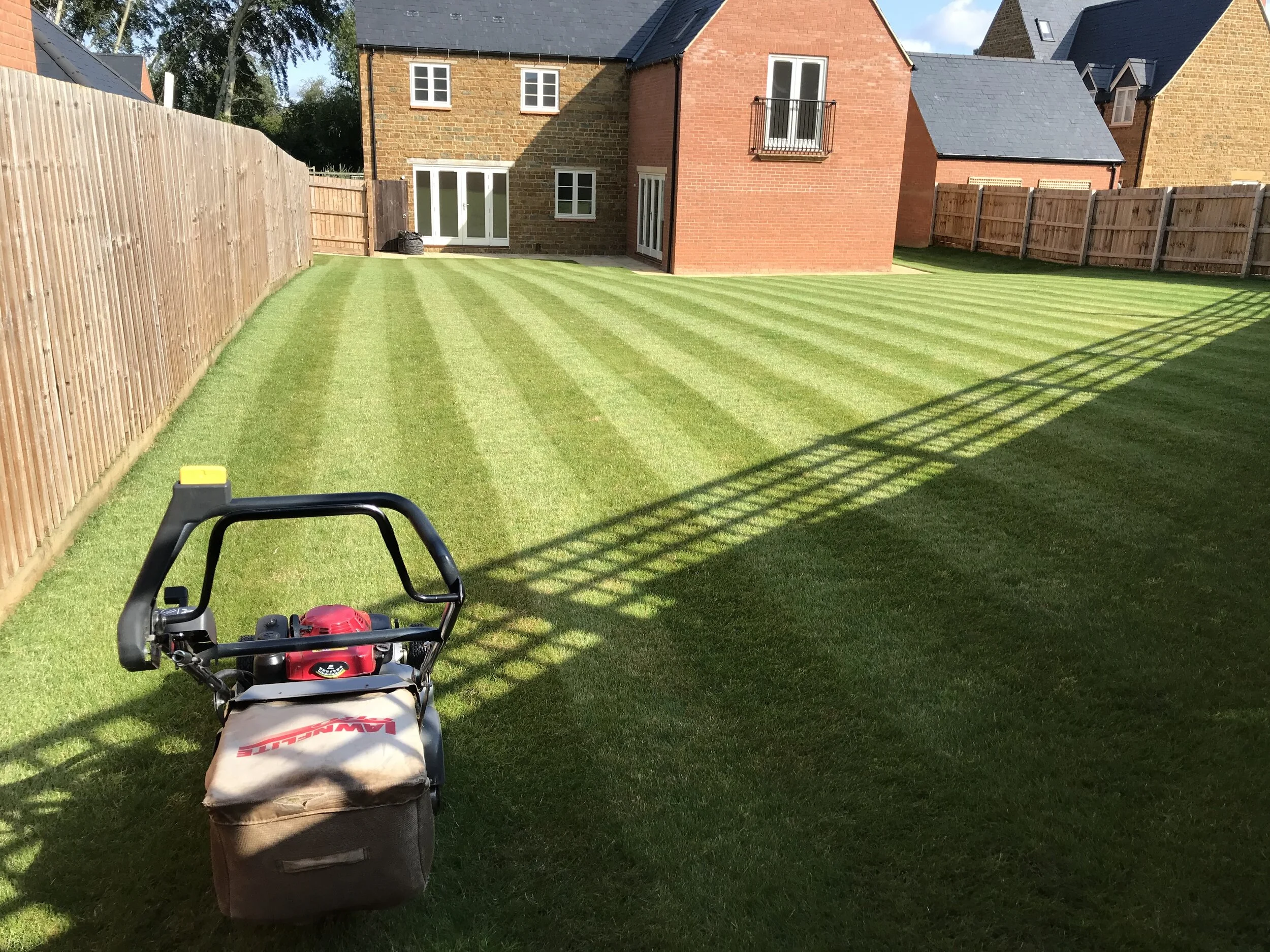 Lawn maintenance process including mowing, edging, and blowing for a clean finished yard