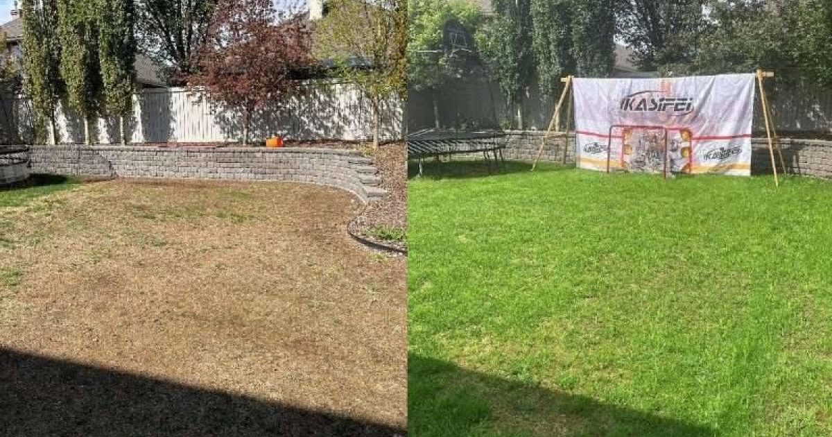 Seasonal lawn changes in Florida showing differences between dry and wet season grass growth